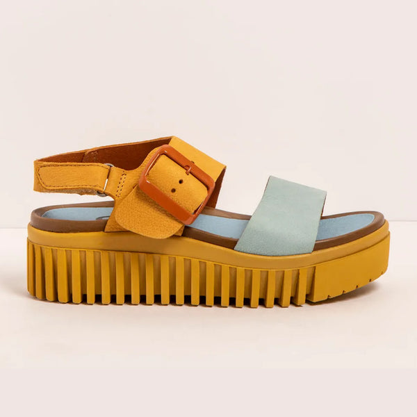 Art | Brighton Sandal 1578 | Multi Honey/Hawaii