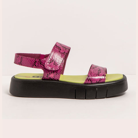 Art | Malaga Sandal 1854F | Snake Fuchsia