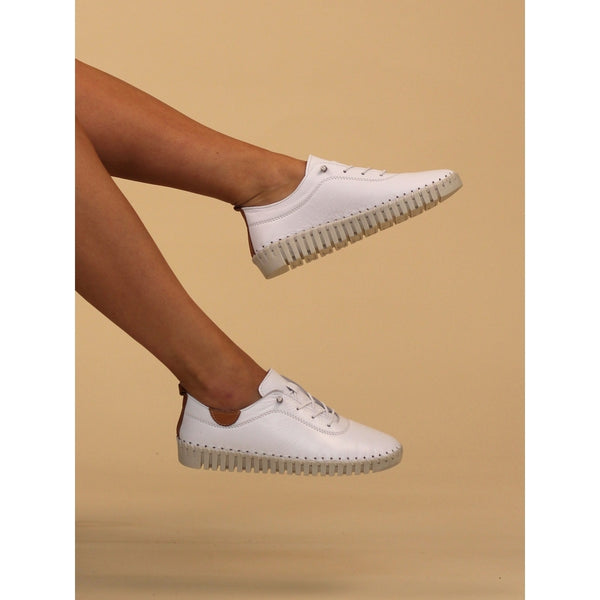 Lunar | Flamborough White