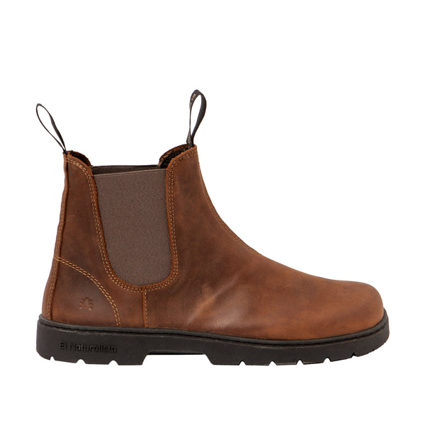 El Naturalista | 5262 Nomada | Caldera