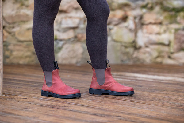 El Naturalista| 5262 Nomada | Terra