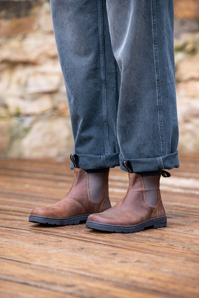 El Naturalista | 5262 Nomada | Caldera